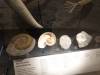 119 - 20170807 National Museum of Scotland