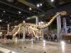 130 - 20171105 Hong Kong Science Museum