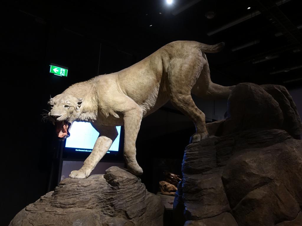 109 - 20180120 Australia Museum