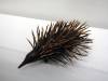 111 - 20180126 Sydney Comtemporary Art Museum