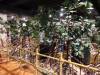 104 - 20180529 Manila National History Museum