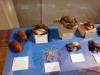 110 - 20180529 Manila National History Museum
