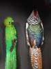 102 - 20180911 Burke Museum of Natural History