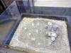 107 - 20180911 Burke Museum of Natural History