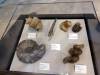 108 - 20180911 Burke Museum of Natural History