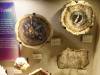 111 - 20180911 Burke Museum of Natural History