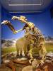 112 - 20180911 Burke Museum of Natural History