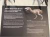 119 - 20180911 Burke Museum of Natural History