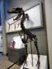 120 - 20180911 Burke Museum of Natural History