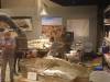 121 - 20180911 Burke Museum of Natural History