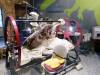 124 - 20180911 Burke Museum of Natural History