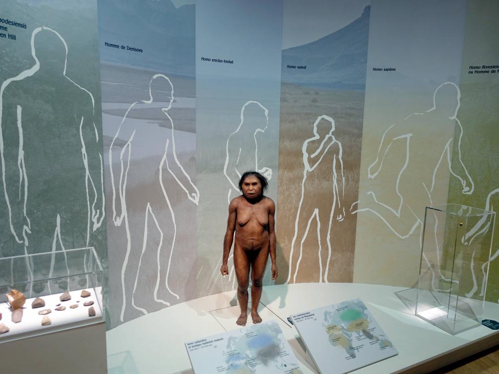 152 - 20181219 Musee de l'Homme