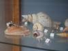 108 - 20190207 Musee Redpath