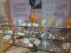 111 - 20190207 Musee Redpath