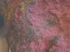 128 - 20190207 Musee Redpath
