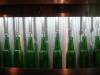 5121 - Heineken Experience