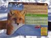 903 - 20200220 EcoMuseum Zoo