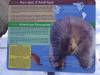 908 - 20200220 EcoMuseum Zoo