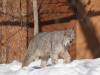 914 - 20200220 EcoMuseum Zoo