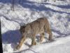 920 - 20200220 EcoMuseum Zoo