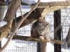 921 - 20200220 EcoMuseum Zoo