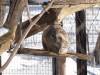 922 - 20200220 EcoMuseum Zoo