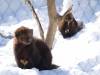926 - 20200220 EcoMuseum Zoo