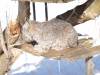 928 - 20200220 EcoMuseum Zoo