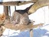 931 - 20200220 EcoMuseum Zoo