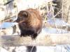 934 - 20200220 EcoMuseum Zoo