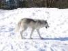 939 - 20200220 EcoMuseum Zoo