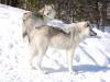 941 - 20200220 EcoMuseum Zoo