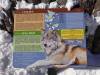 943 - 20200220 EcoMuseum Zoo