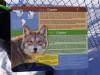 944 - 20200220 EcoMuseum Zoo