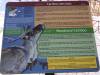 945 - 20200220 EcoMuseum Zoo