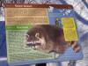 957 - 20200220 EcoMuseum Zoo