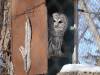 958 - 20200220 EcoMuseum Zoo