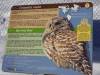 959 - 20200220 EcoMuseum Zoo
