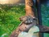 967 - 20200220 EcoMuseum Zoo