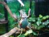 968 - 20200220 EcoMuseum Zoo
