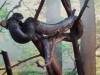 974 - 20200220 EcoMuseum Zoo