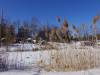 980 - 20200220 EcoMuseum Zoo