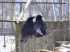 982 - 20200220 EcoMuseum Zoo