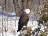 986 - 20200220 EcoMuseum Zoo