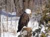 987 - 20200220 EcoMuseum Zoo