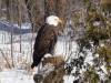 989 - 20200220 EcoMuseum Zoo