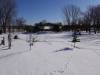 990 - 20200220 EcoMuseum Zoo