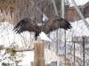 992 - 20200220 EcoMuseum Zoo
