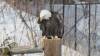 994 - 20200220 EcoMuseum Zoo