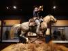 6177 - 20201105 Day06 Oklahoma City National Cowboy Western Museum